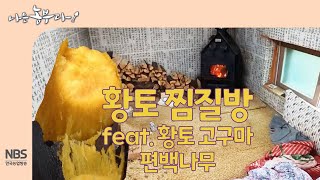 [나는농부다 276회] 황토 찜질방 (feat.황토고구마·편백나무)