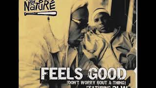 Naughty by Nature feat. 3LW - Feels Good (Acapella)