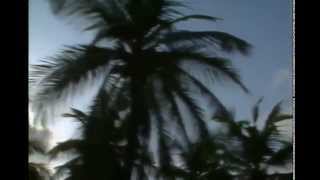 The Gathering - John Adorney