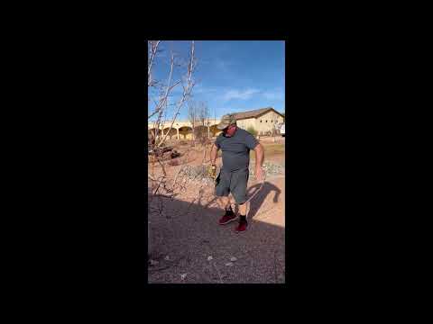 COMO SE PODA LA PERA EN LA PRIMAVERA #gardenscapes #vegetable#vegetablegardentour#food #foodie#facts