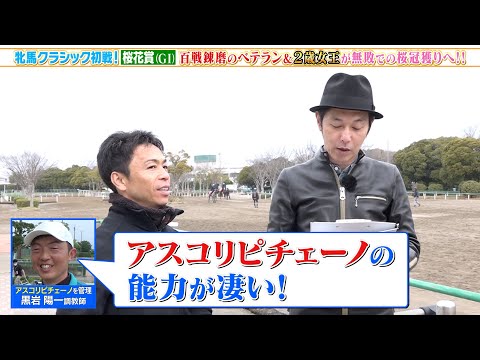 アスコリ ピチェノ