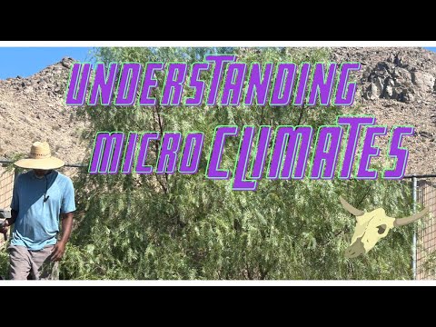 Understanding Microclimates and How To Use Them In Your Garden