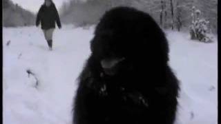 Leroi in de sneeuw. (Wintersong / The Tenors/Sarah McLachlan)