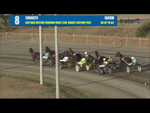 TAMWORTH - 08/08/2019 - Race 8 - NEXT RACE MEETING THURSDAY NIGHT 22ND AUGUST LADYSHIP PAC…
