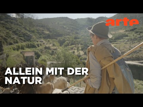 Video Thumbnail: Der letzte Hirte von Sabugueiro | Kurzfilm | ARTE