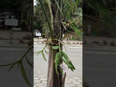 CONHEÇA APIAÍ em BREVE no CANAL #rota #viagem