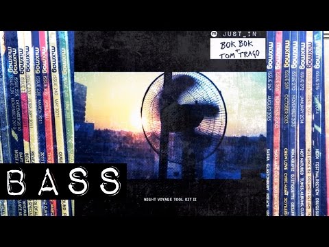 BASS: Bok Bok & Tom Trago - Pussy Trak [Night Voyage]
