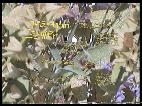 Documenting Selfie Intern #1