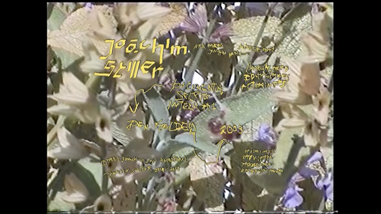 "Documenting Selfie Intern #1" by Joachim Stiller / Mees Joachim, 2018/2019