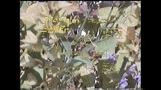 "Documenting Selfie Intern #1" by Joachim Stiller / Mees Joachim, 2018/2019