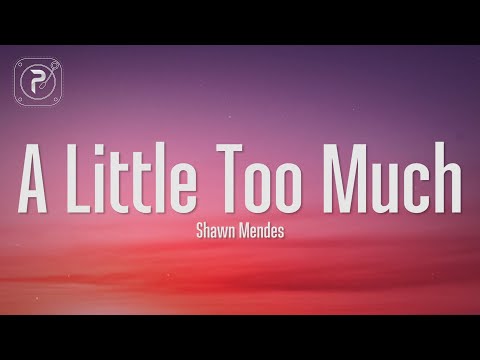 Shawn Mendes - A Little Too Much (Lyrics)