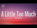 Shawn Mendes - A Little Too Much (Lyrics)