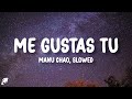Manu Chao Me Gustas Tu Slowed Letra Lyrics