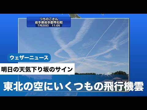 ケムトレイルは本当に危険:研究者らが壊滅的な結果を警告