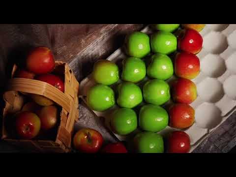 SEM ECOPACK PROMO/СЕМ ЕКОПАК ПРЕЗЕНТАЦІЙНИЙ РОЛИК