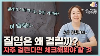 질염은 왜 걸리는걸까? 질에서 이런 냄새 난다면..? 항생제나 항진균제로 낫지 않는다면..?