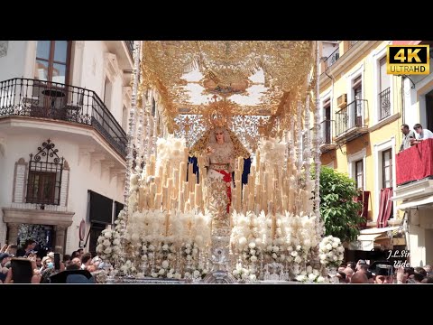 (4K) GRANDES MOMENTOS DE LA SEMANA SANTA (Volumen 5) | SEVILLA #SSantaSevilla25 #CuaresmaEnSevilla