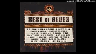 Best Of Blues - vol. 1 - CD 1 - 1-13.- Central Park Blues (Instrumental)