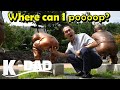 Where Can I Poopoo Korean Toilet Culture Korean Culture
