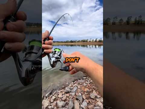 The Perfect Fishing Starter Kit🎣