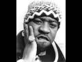Cappadonna- What's Really Up