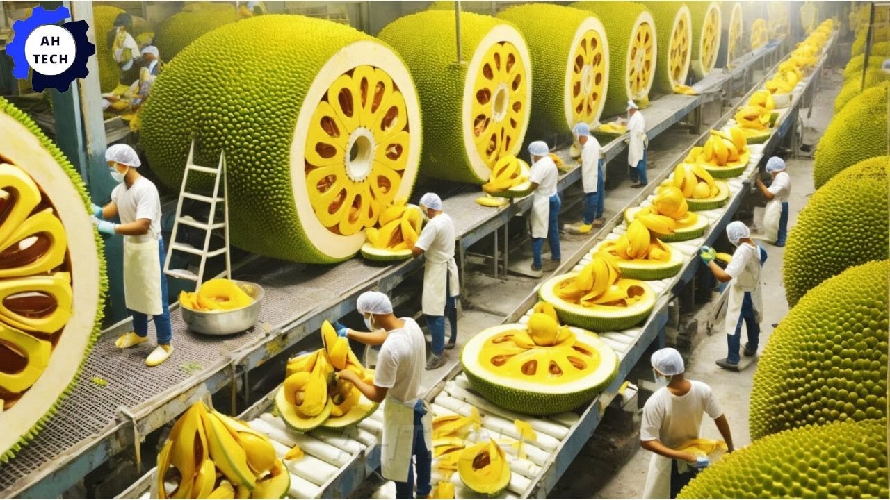 135 Most Satisfying Agriculture Technology►82 | Harvest and Processing Jackfruit on Another Level