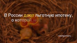 Новость дня: