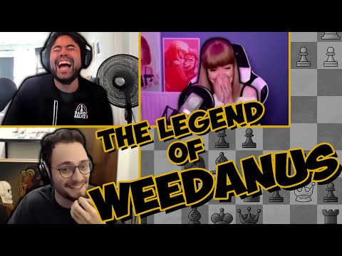 HIKARU, ANNA, & LEVY discuss "WEEDANUS"