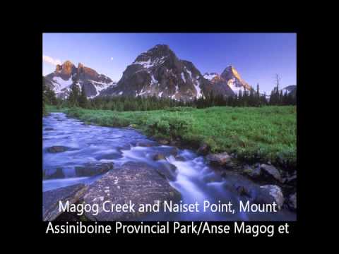 OCTAVIAN BUD-SEMAFOARE. original