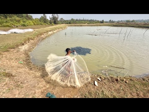 Net Fishing Video - Very Amazing Skill Cast Net Fishing In River - Best Net Fishing 