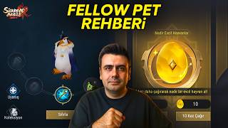 SROM FELLOW PET REHBERİ ✨ Silkroad Origin Mobile Türkiye