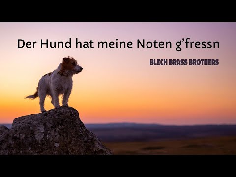 Blech Brass Brothers - Der Hund hat meine Noten g’fressn (Lyric Video)