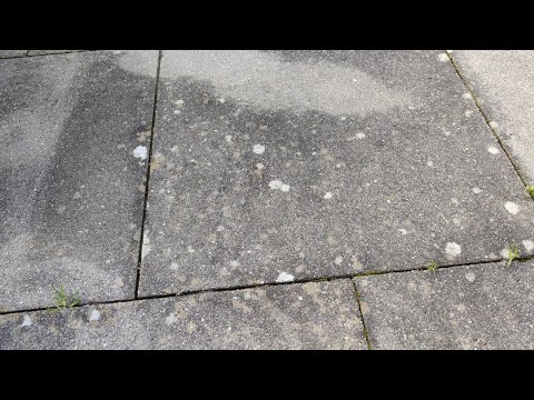 Schwarzalgen von Pflastersteinen entfernen! Mit diesen 2 einfachen Methoden