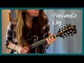 Panhandle Rag - Mandolin