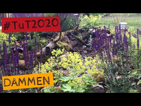 Rabatten vid dammen. Digital rundvandring - Tusen trädgårdar #TuT2020