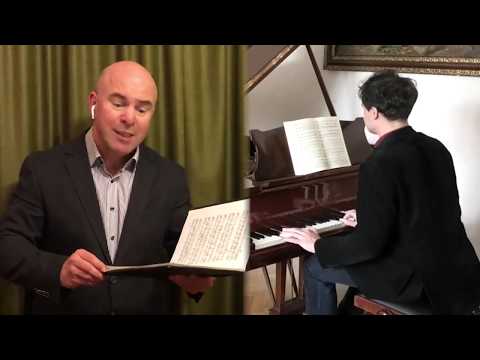 Schubert in Quarantine vol. 2 - Frühlingstraum (Dream of Spring), Zoltán Megyesi, Balázs Fülei