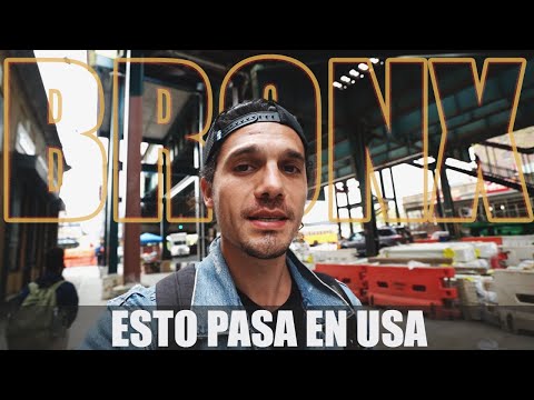 image-Why is the Bronx so poor?