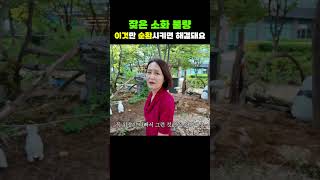 잦은 소화 불량은 이것만 신경써보세요