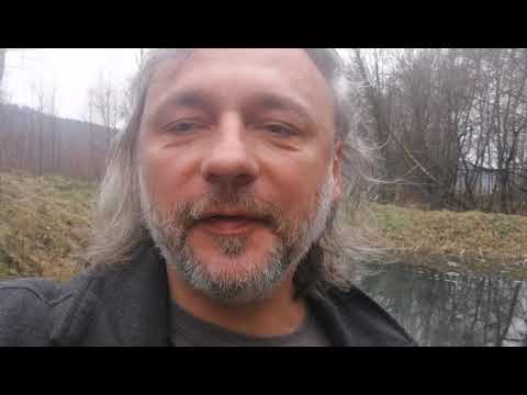 Water mint Mentha aquatica a fresh herb growing under water in winter