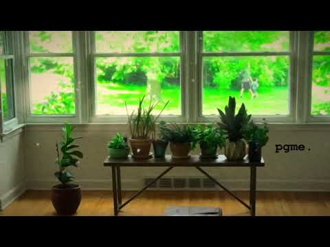 Adam Graf // Piano Impromptu 15 // "Swallows" // 8.29.20