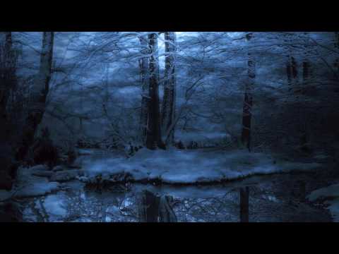 Marco Torrance - The Unequalled