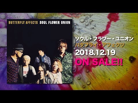 ソウル・フラワー・ユニオン 『バタフライ・アフェクツ』 世間が混迷の度合いを増すほど、彼らの音楽は鋭く雄弁に響く | Mikiki by TOWER RECORDS
