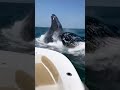 IDIOTS in Boats Caught on Camera! #funny#wowmoments#shorts