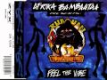 Afrika Bambaataa - Feel The Vibe (1995) 