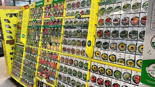 Garden Seeds at Home Depot