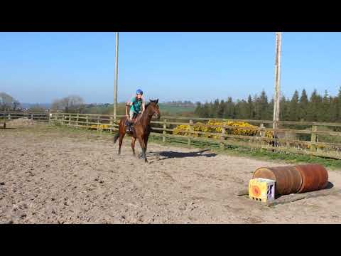 Macha Shewolf Equestrian Performance Artist - Hula Hoop Jumping for the first time Bitless  2012