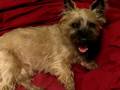 Bello S First Video