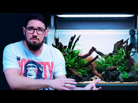 Maintenance On A New Planted Aquarium - The First 2 Months - Step by Step Tutorial