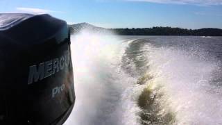 Mercury 150 pro xs optimax