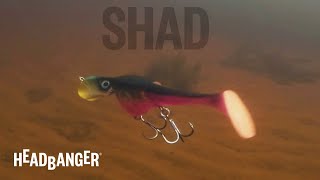 Headbanger wobler Shad 22, 22cm 74g AC
